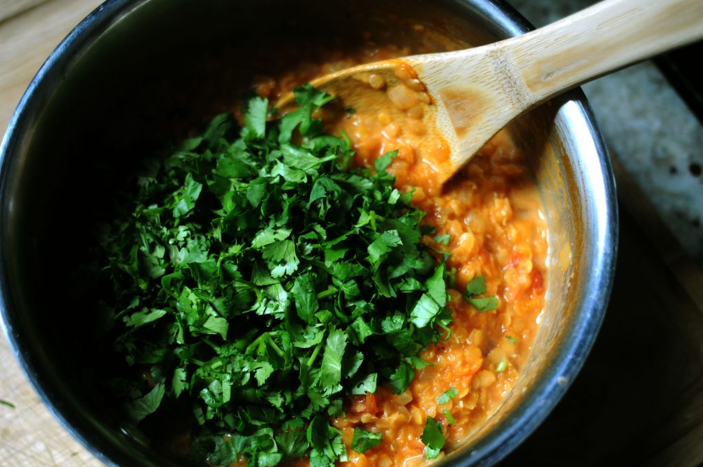 adding cilantro to pot of red lentil daal