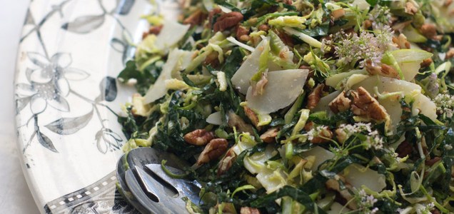 Thanksgiving Salad Recipe Roundup